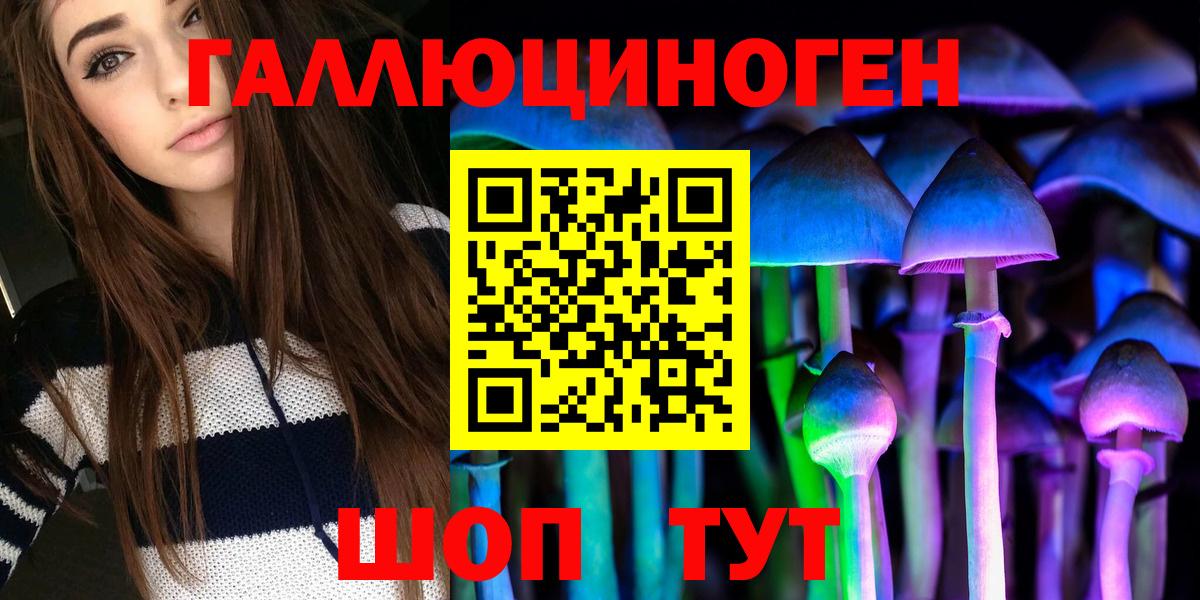 Галлюциногенные грибы Psilocybine cubensis Шадринск
