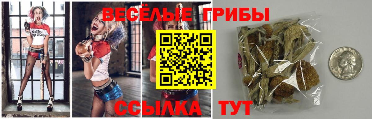 Шадринск  Галлюциногенные грибы MAGIC MUSHROOMS  Вход с VPN 